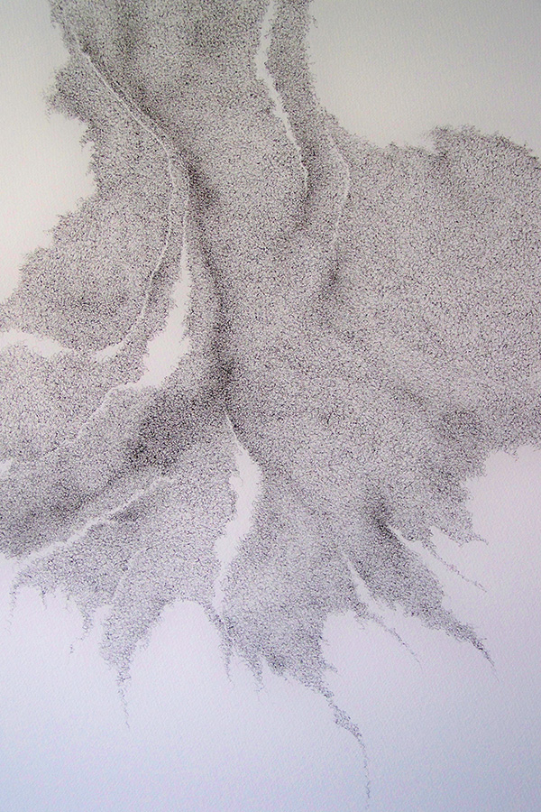 Françoise Ferreux Dessins - Histoire naturelle - dessin 3