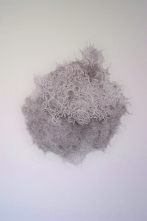 Françoise Ferreux Dessins - Histoire naturelle - dessin 4