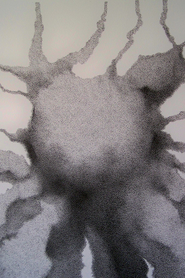 Françoise Ferreux Dessins - Histoire naturelle - dessin 5