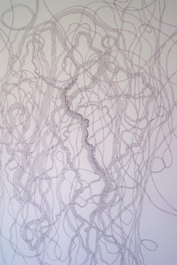 Françoise Ferreux Dessins - Histoire naturelle - dessin 7