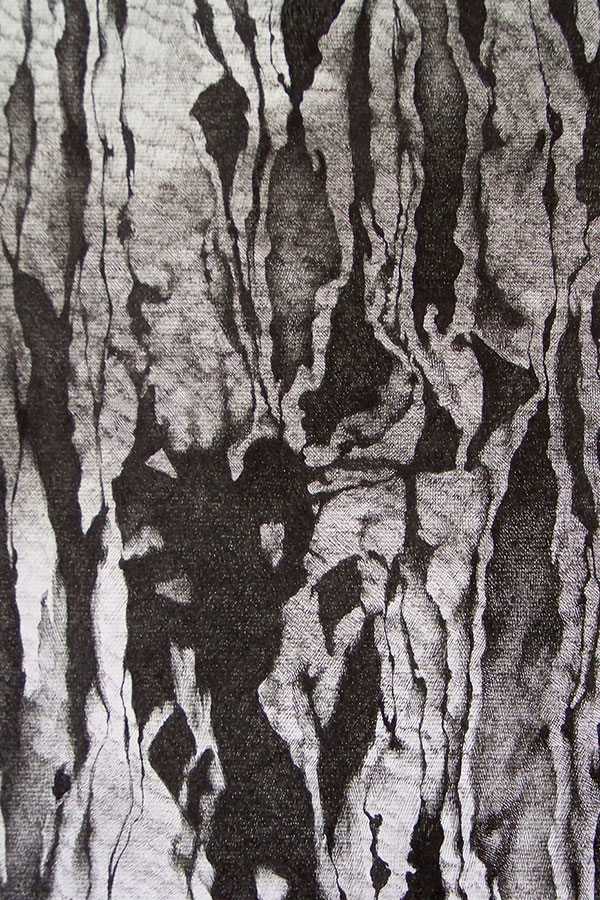 Françoise Ferreux Ecorces - Histoire naturelle - dessin 2
