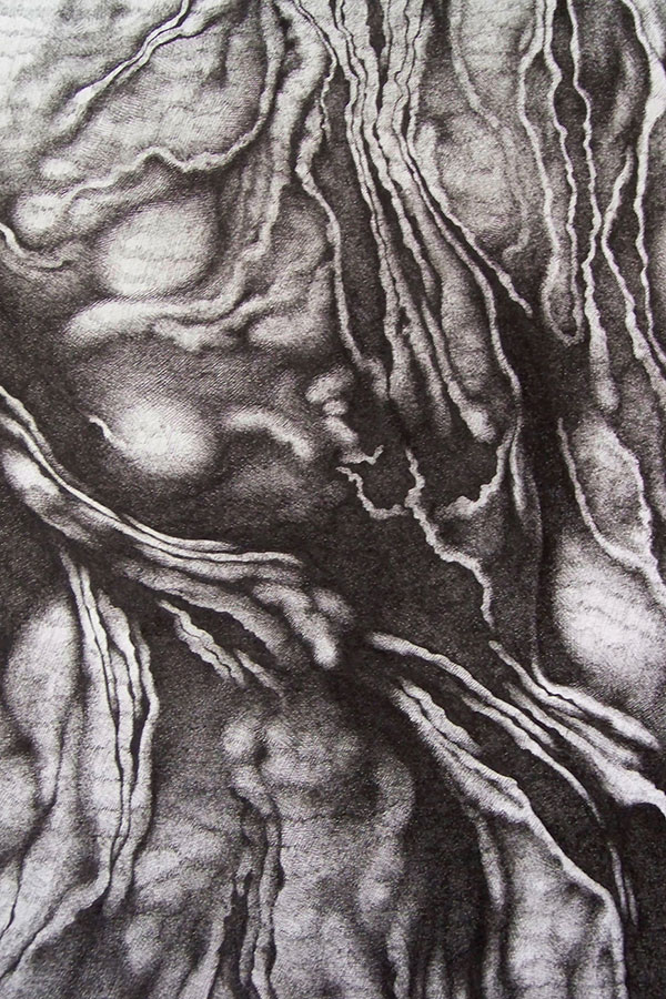 Françoise Ferreux Ecorces - Histoire naturelle - dessin 3