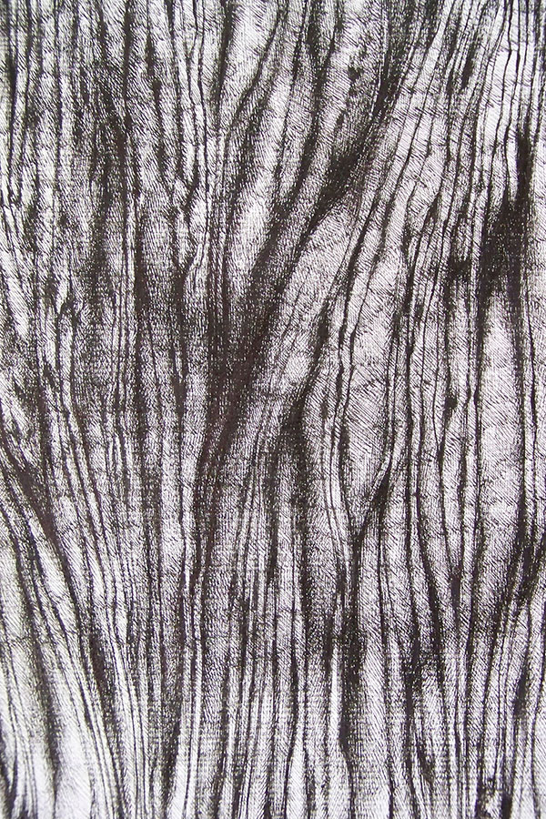 Françoise Ferreux Ecorces - Histoire naturelle - dessin 4