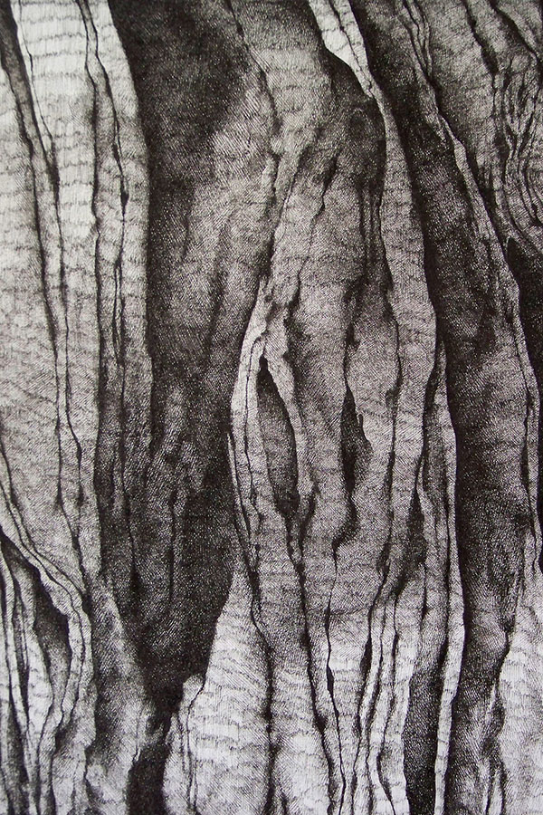 Françoise Ferreux Ecorces - Histoire naturelle - dessin 6