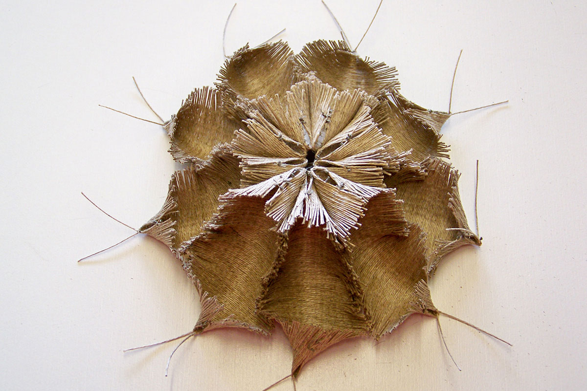 Françoise Ferreux Lin 1 - Histoire naturelle - sculpture 4