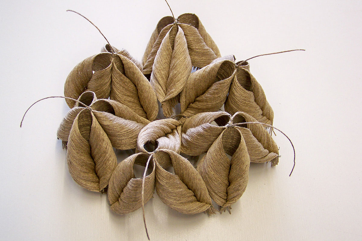 Françoise Ferreux Lin 3 - Histoire naturelle - sculpture 2