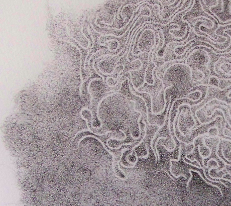 dessins arbres